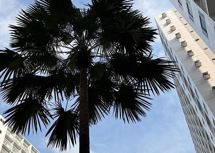 Aparthotel 18102 Shore Residences Tower C1
